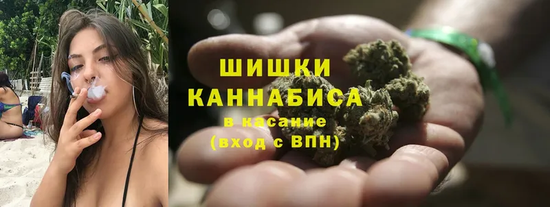 MEGA зеркало  Кириллов  Каннабис SATIVA & INDICA 